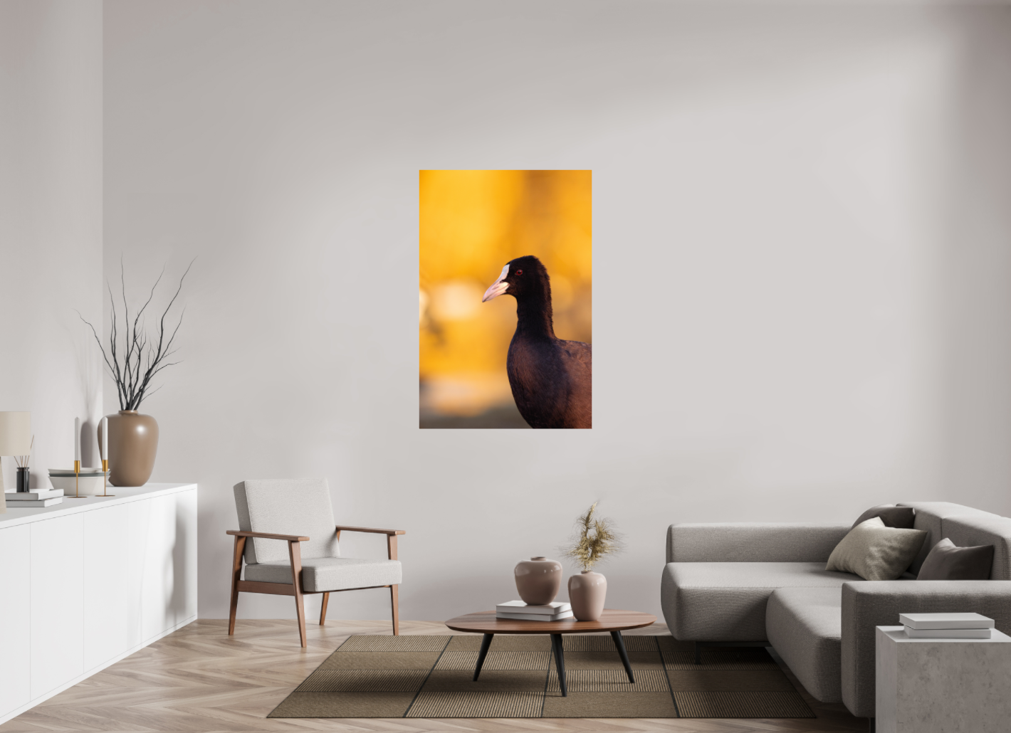 Golden Serenity: A Coot's Portrait