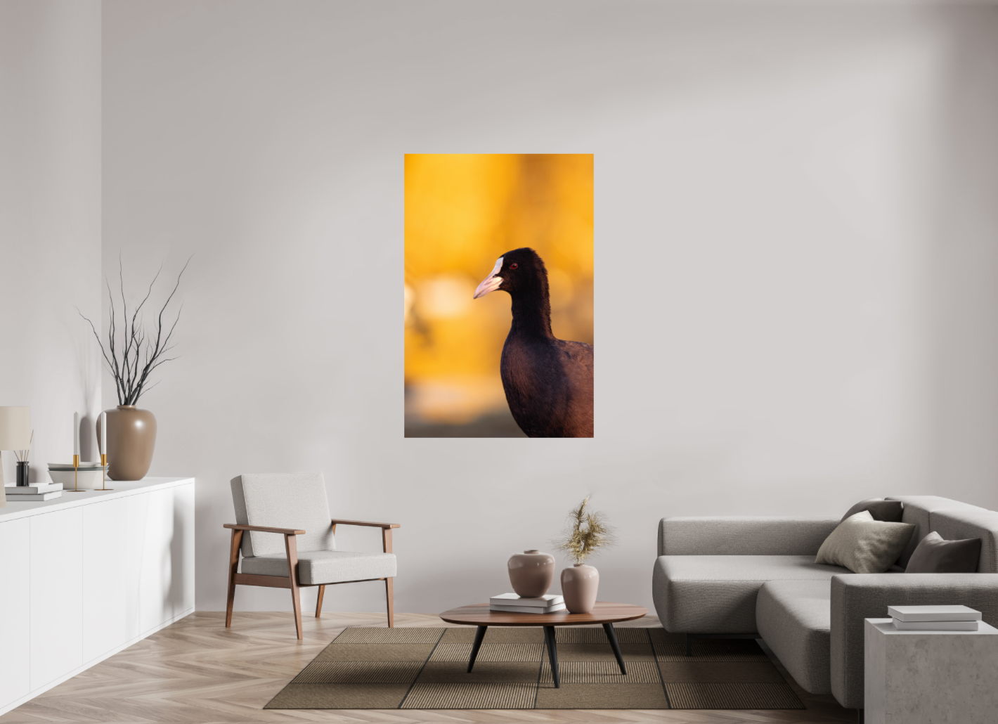 Golden Serenity: A Coot's Portrait