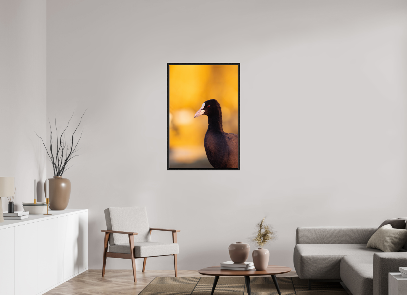 Golden Serenity: A Coot's Portrait