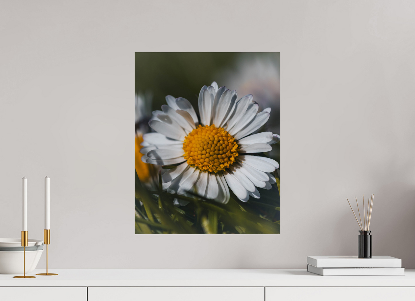 Sunlit Simplicity