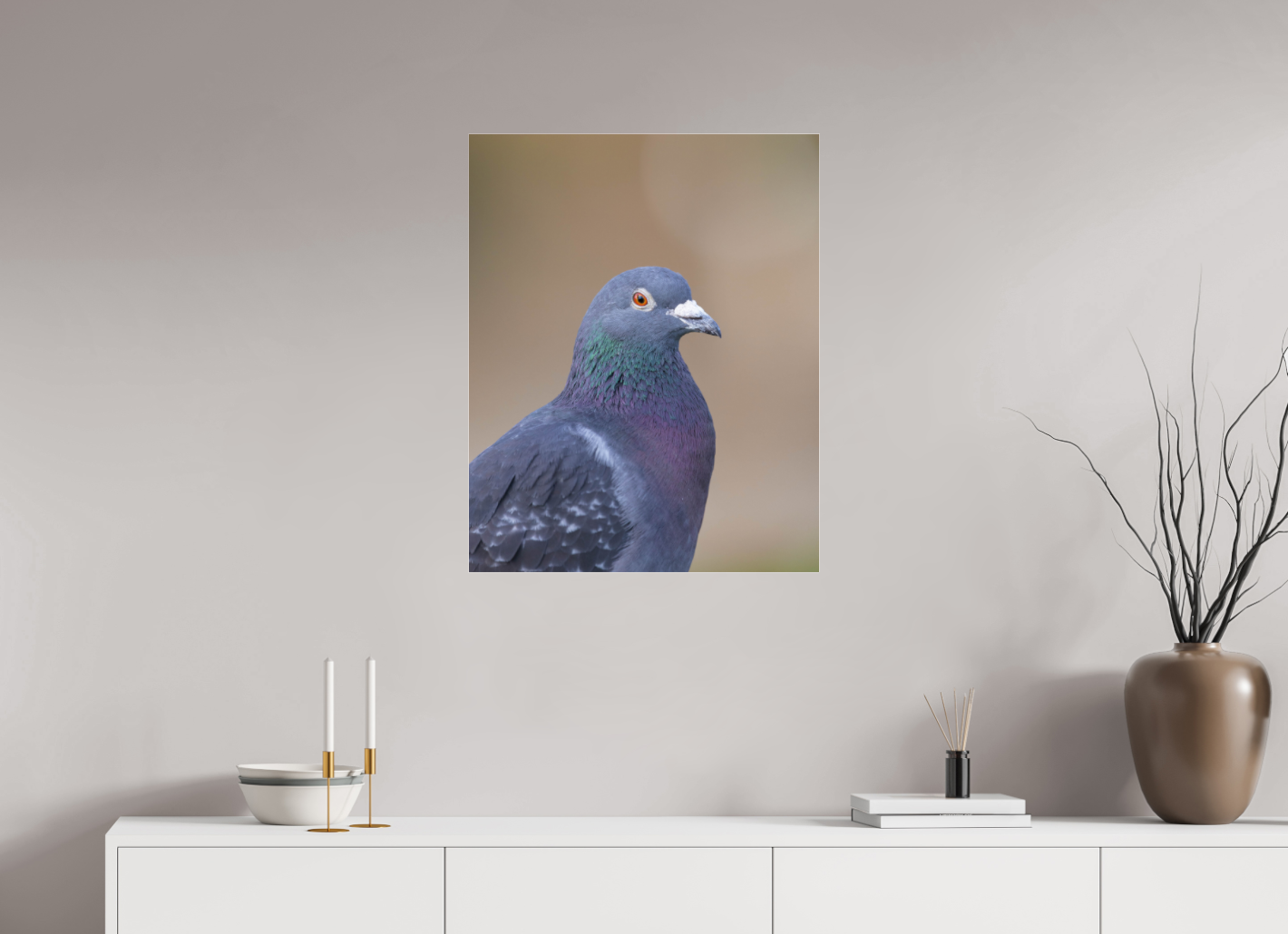 Urban Wild: Pigeon in Bushy Park