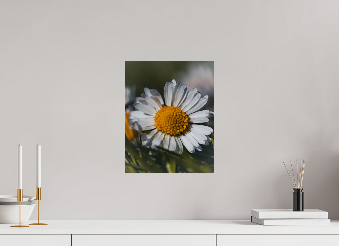 Sunlit Simplicity