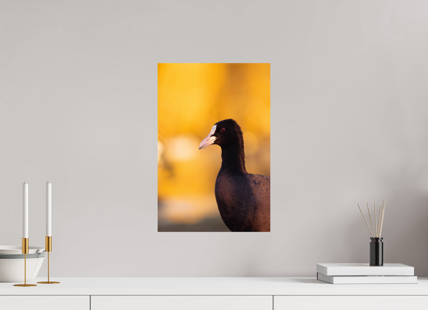 Golden Serenity: A Coot's Portrait
