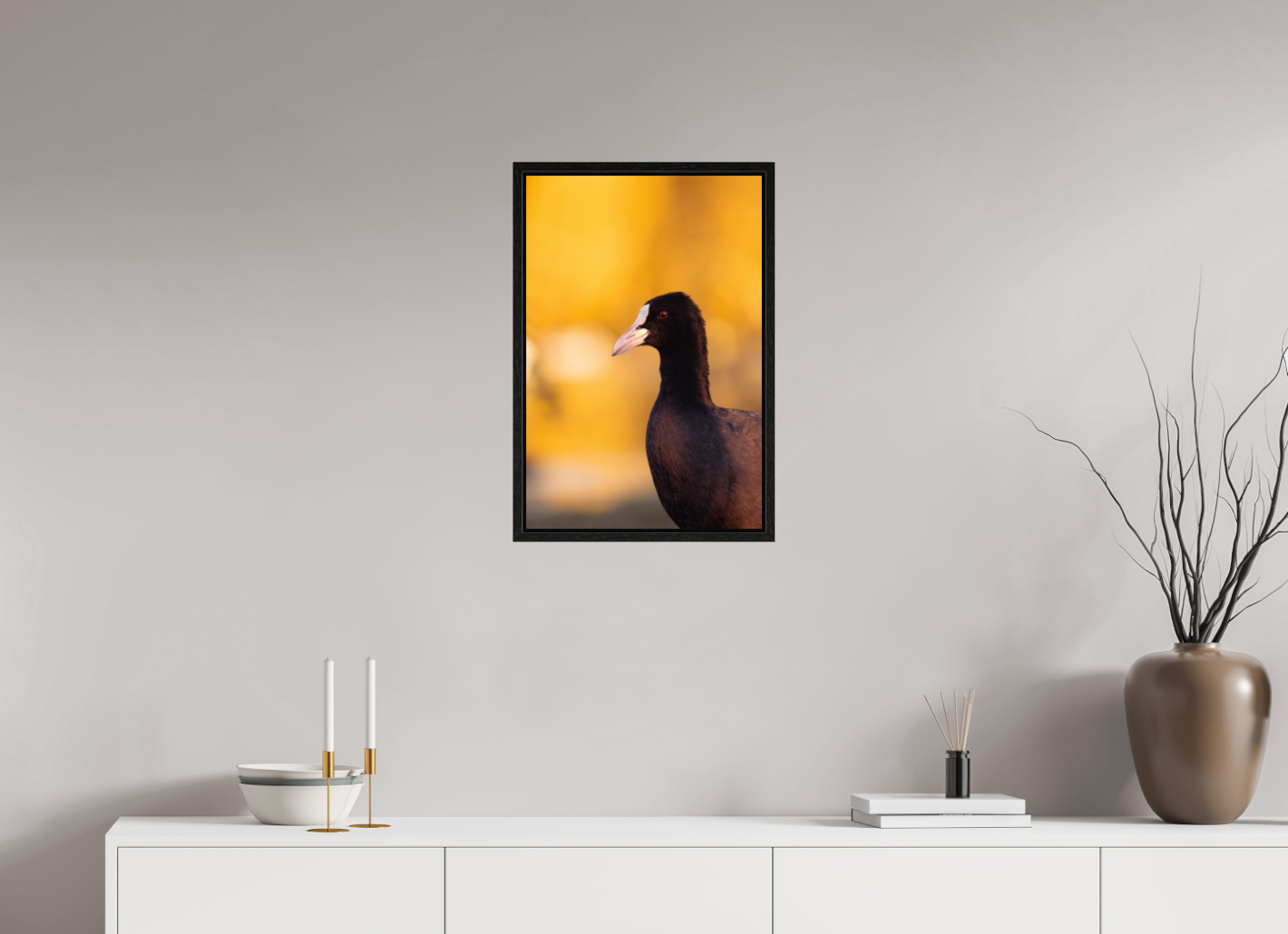Golden Serenity: A Coot's Portrait