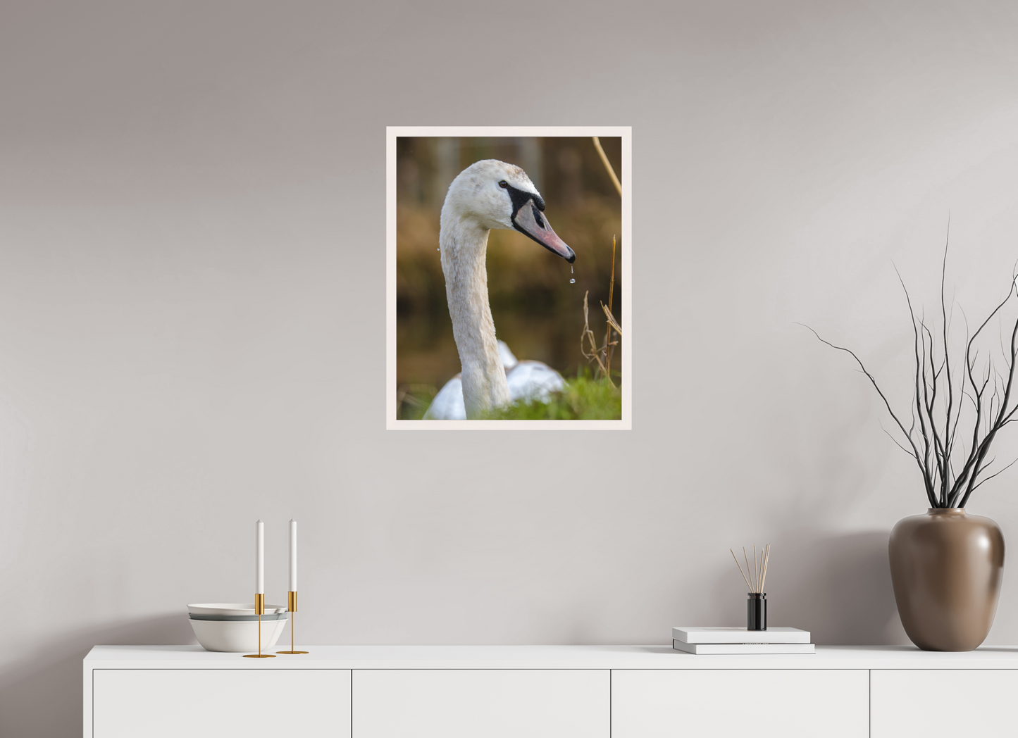 Grace in Motion: The Elegance of a Mute Swan