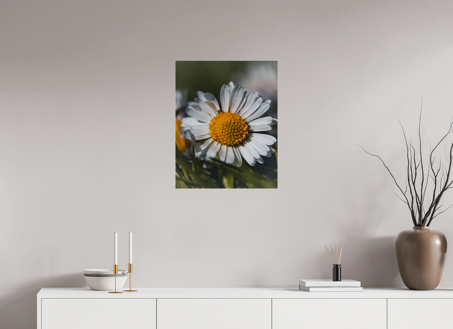 Sunlit Simplicity