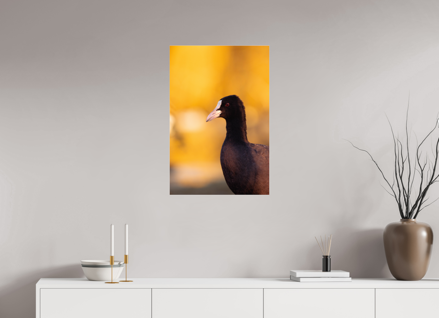 Golden Serenity: A Coot's Portrait