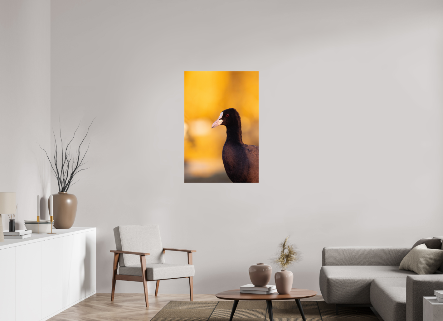 Golden Serenity: A Coot's Portrait