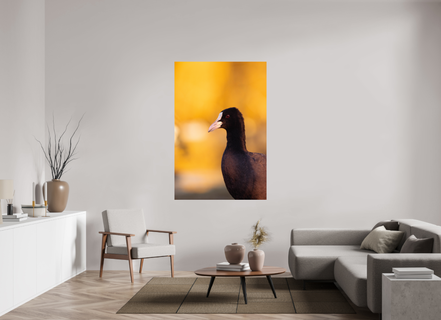 Golden Serenity: A Coot's Portrait