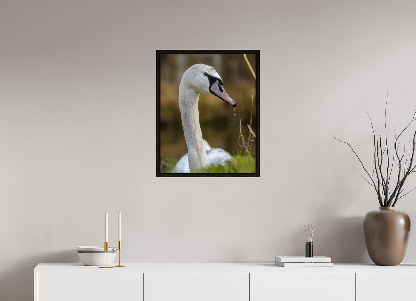 Grace in Motion: The Elegance of a Mute Swan