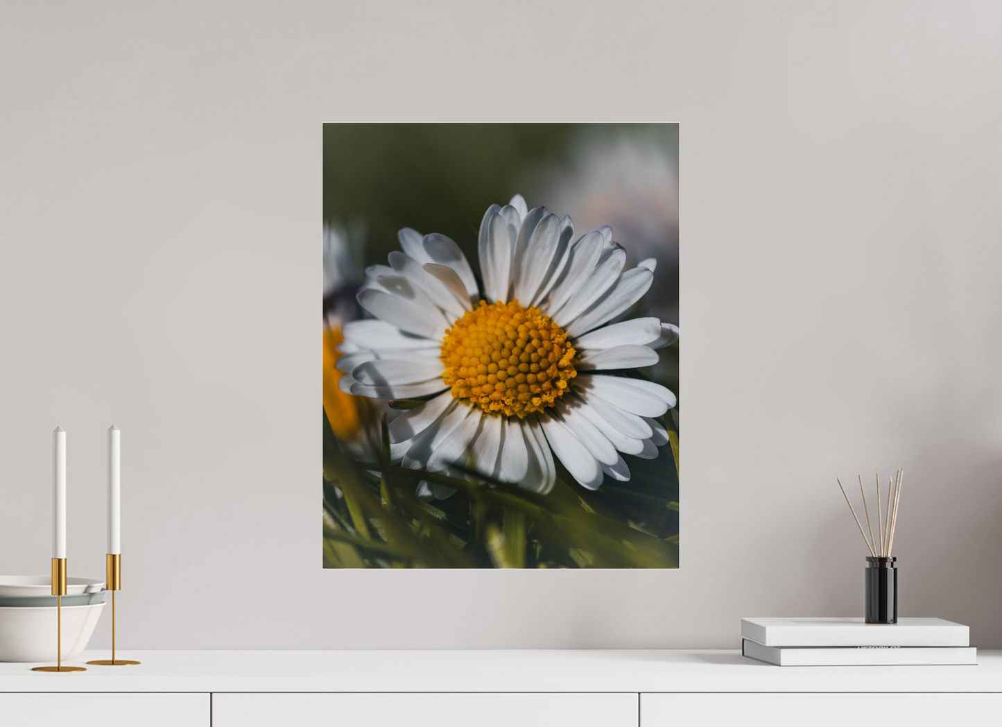 Sunlit Simplicity