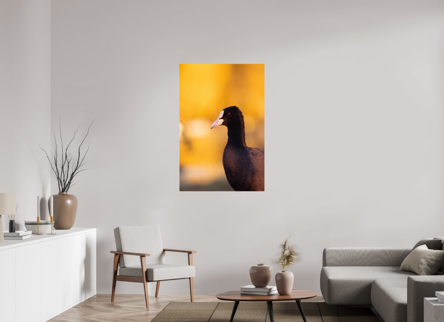 Golden Serenity: A Coot's Portrait