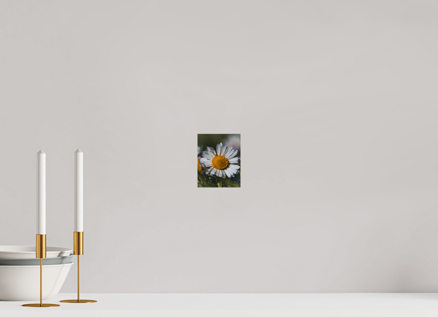 Sunlit Simplicity