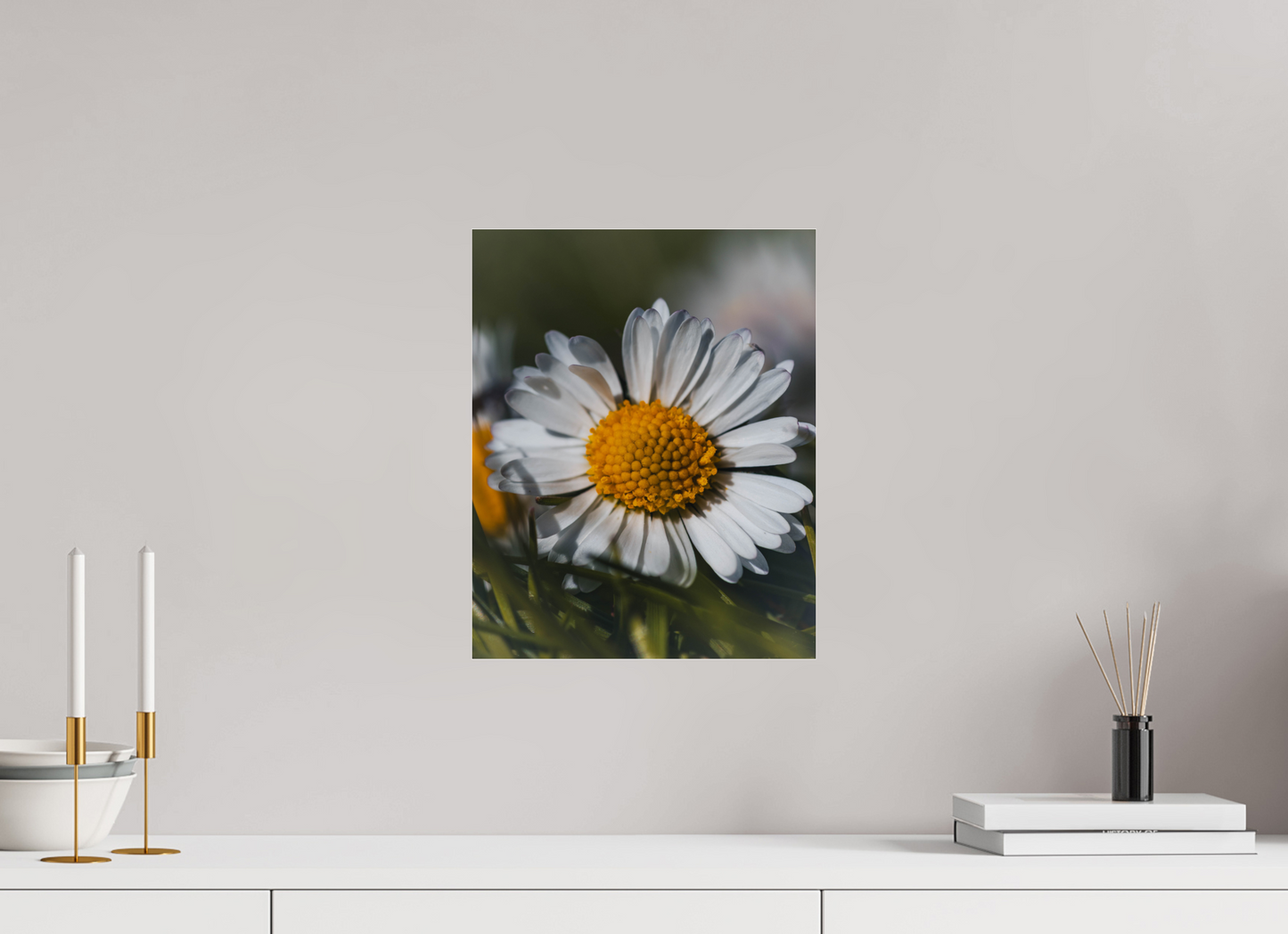Sunlit Simplicity