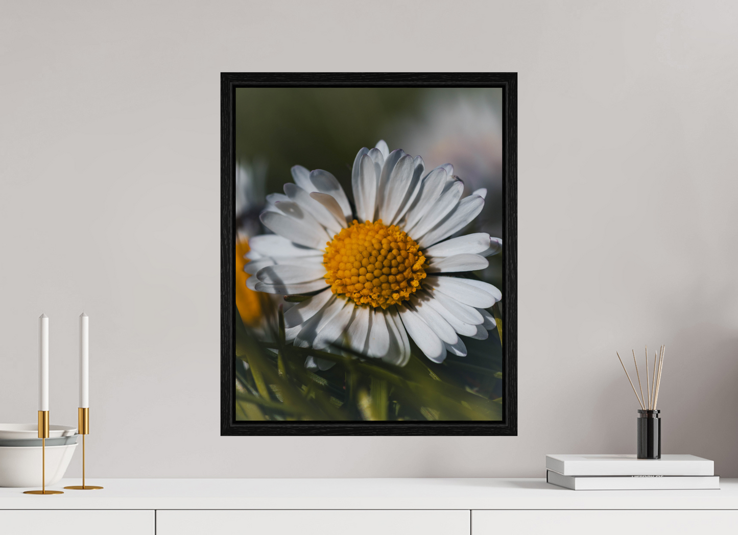 Sunlit Simplicity