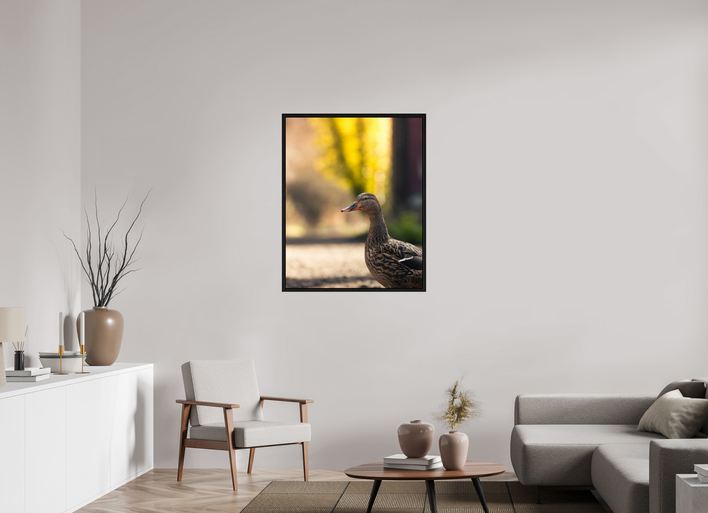 Golden Glow: A Mallard in the Light