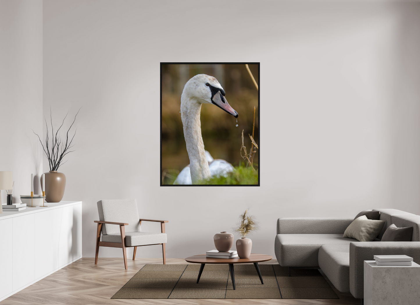 Grace in Motion: The Elegance of a Mute Swan