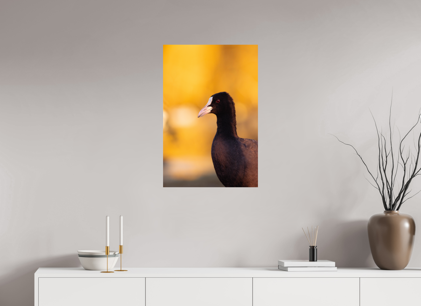 Golden Serenity: A Coot's Portrait