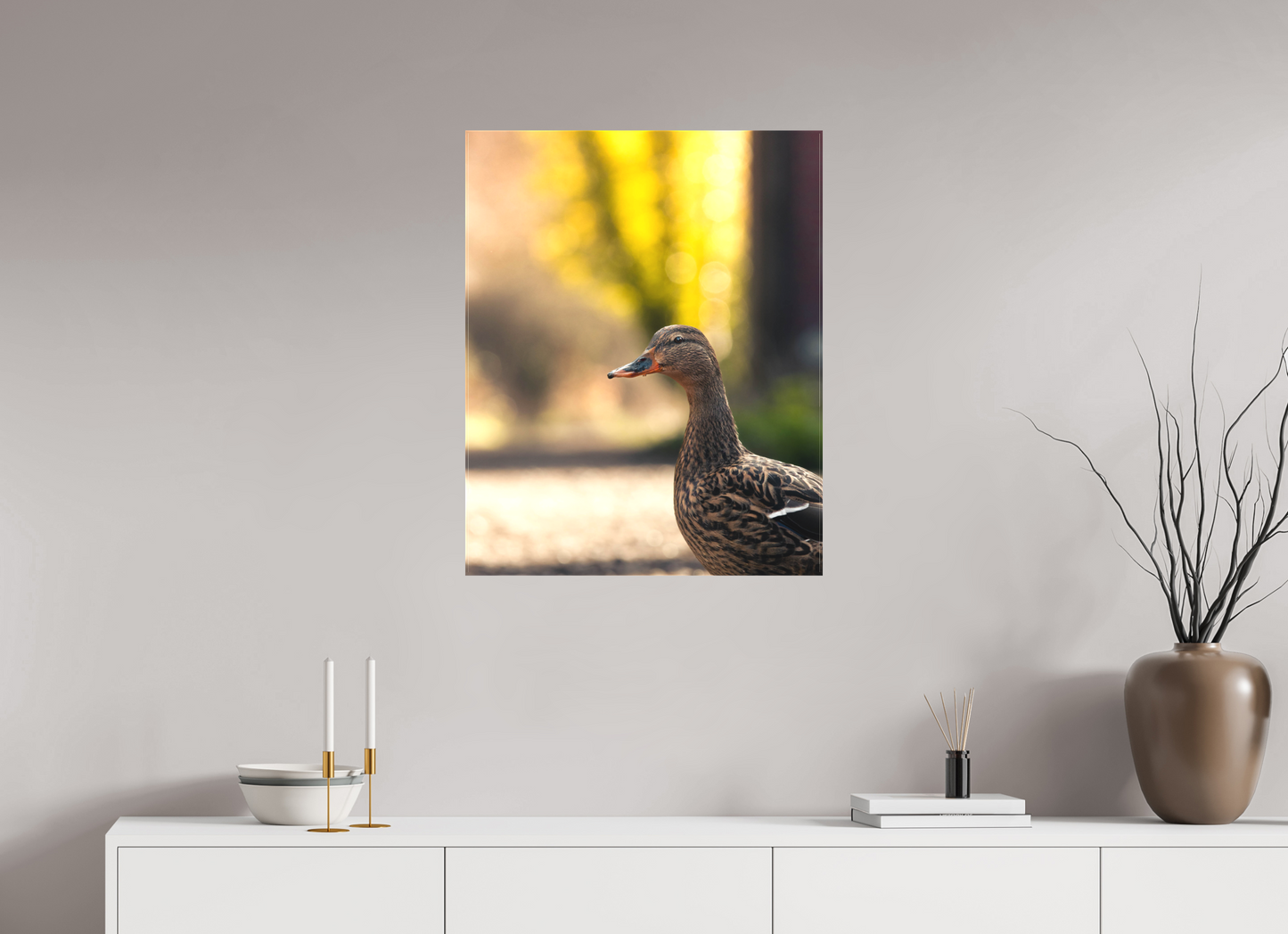 Golden Glow: A Mallard in the Light