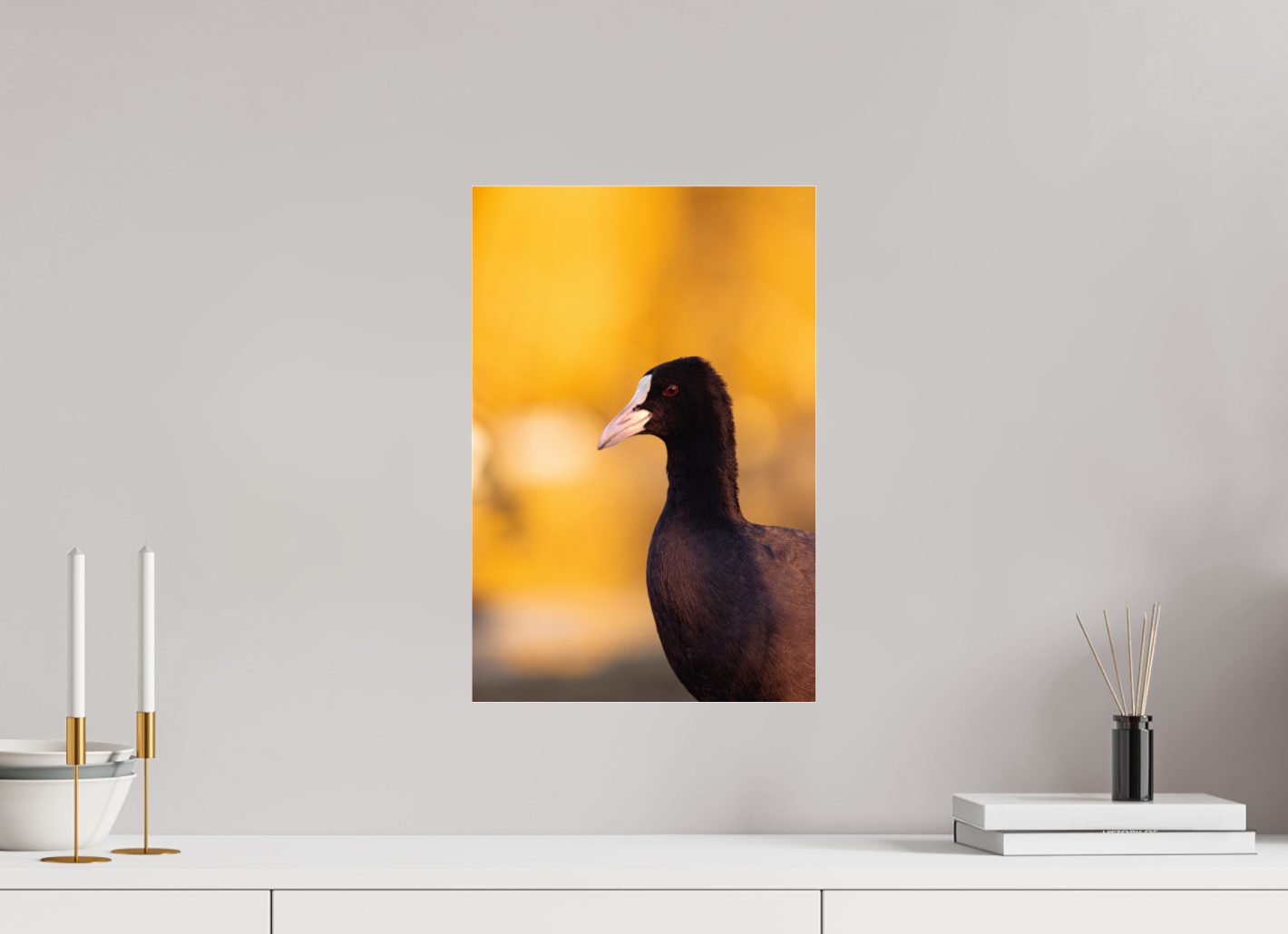 Golden Serenity: A Coot's Portrait