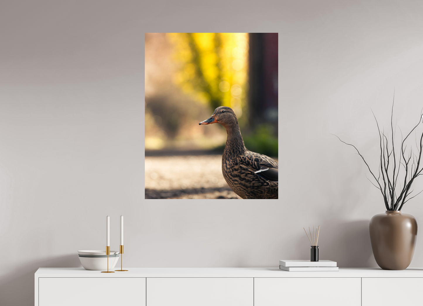 Golden Glow: A Mallard in the Light