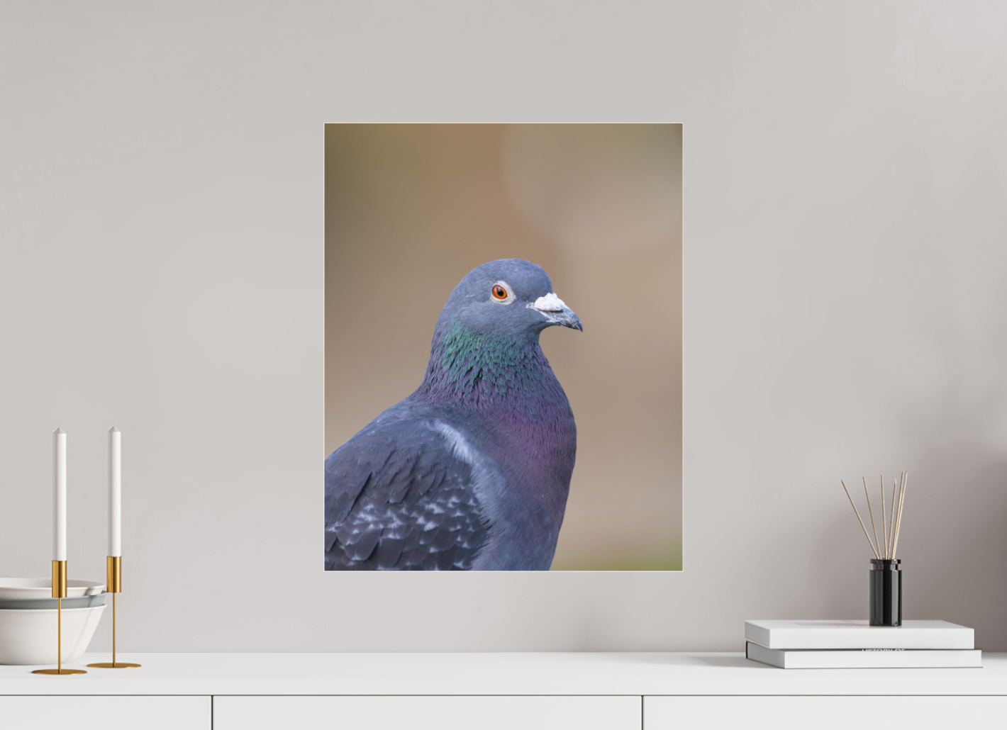 Urban Wild: Pigeon in Bushy Park