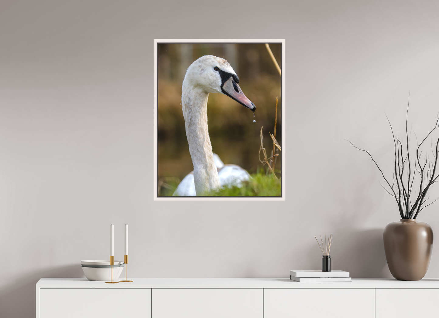 Grace in Motion: The Elegance of a Mute Swan