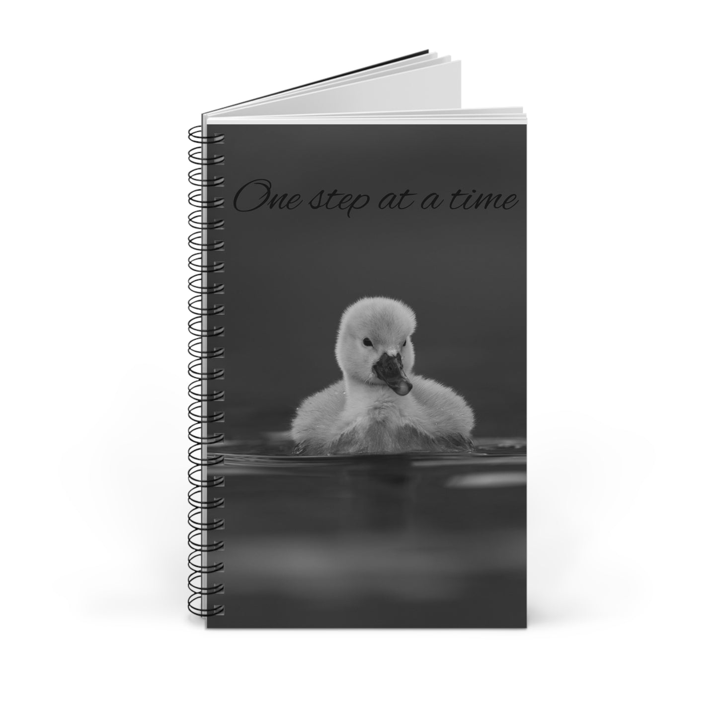 Spiral Journal (EU)