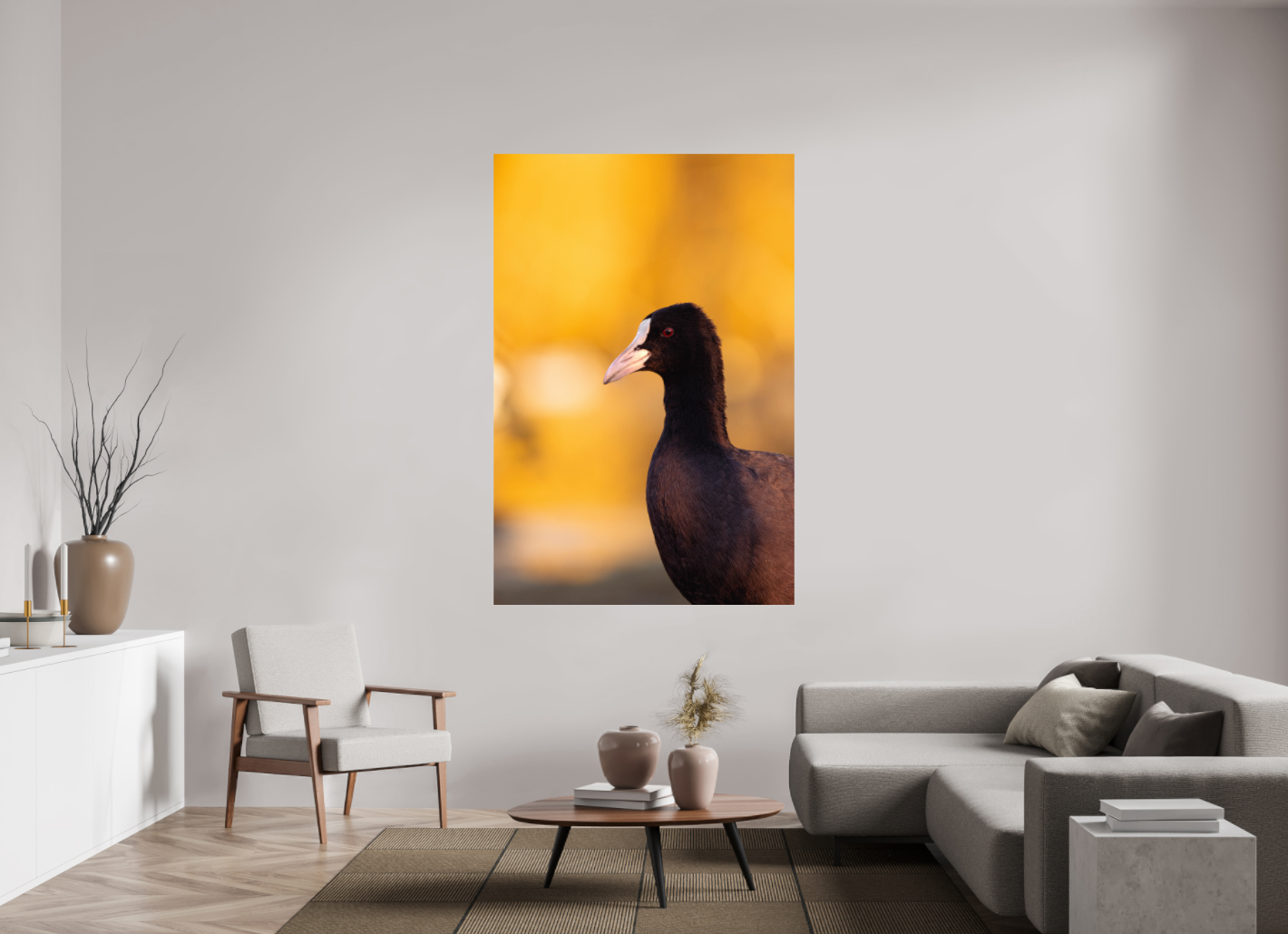 Golden Serenity: A Coot's Portrait