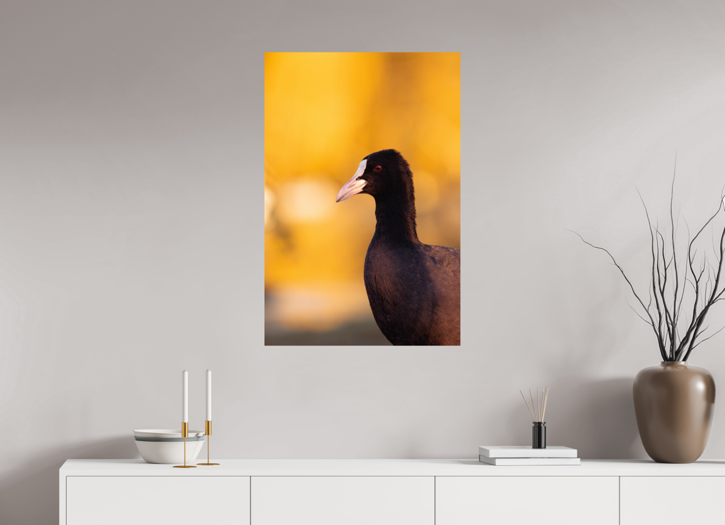 Golden Serenity: A Coot's Portrait