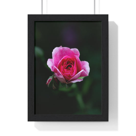 Vertical Framed Poster, A quiet bloom, full of emotion