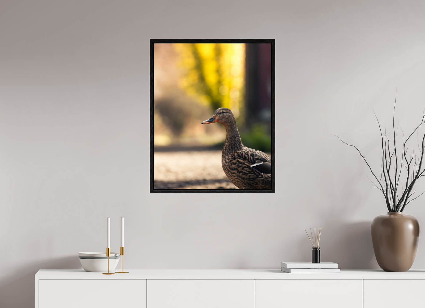 Golden Glow: A Mallard in the Light