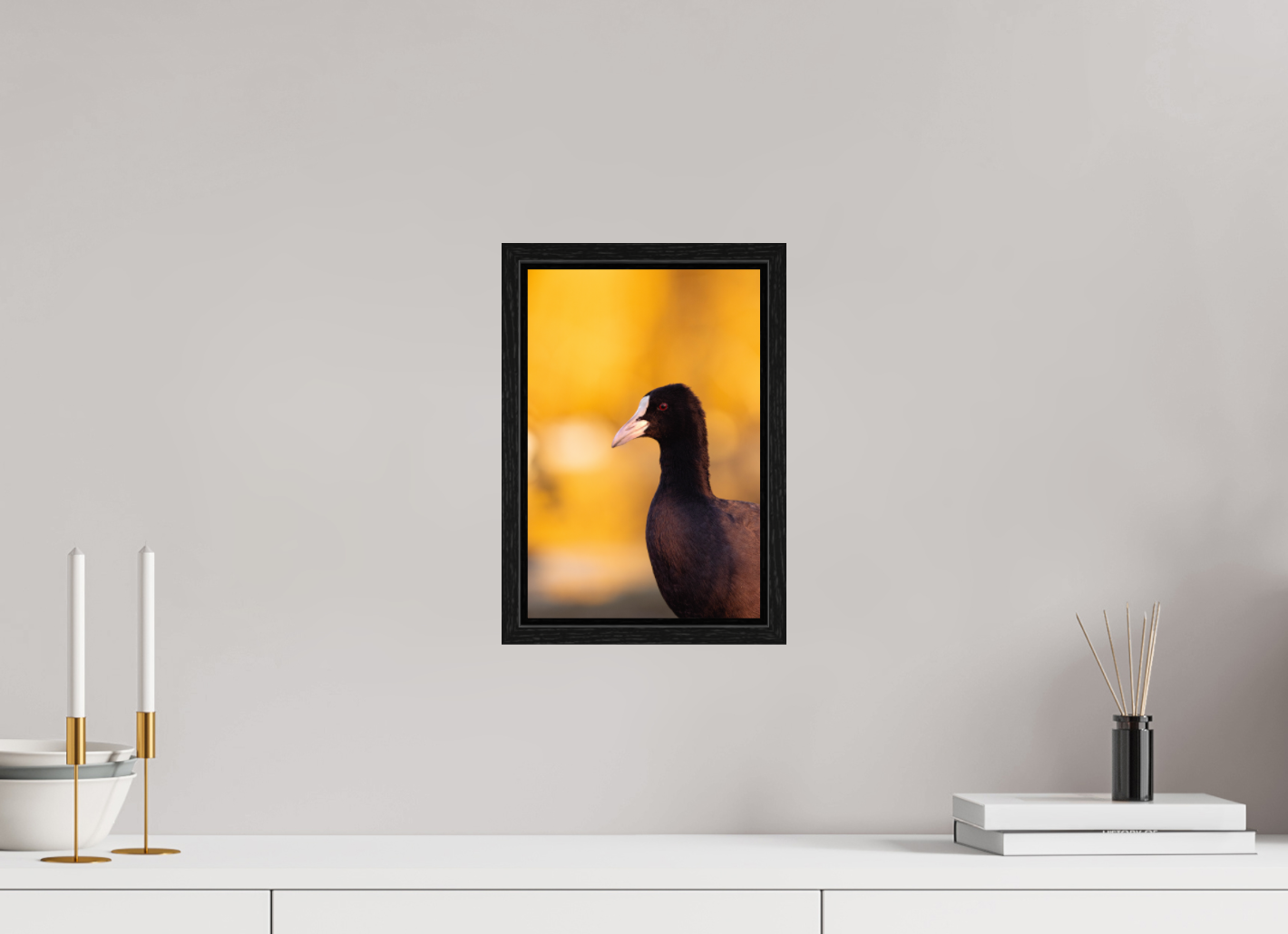 Golden Serenity: A Coot's Portrait
