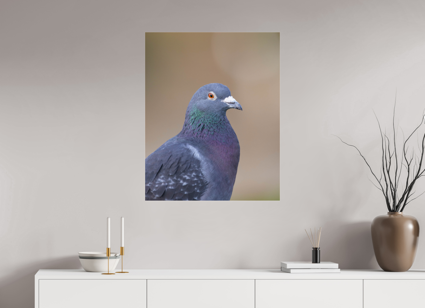 Urban Wild: Pigeon in Bushy Park