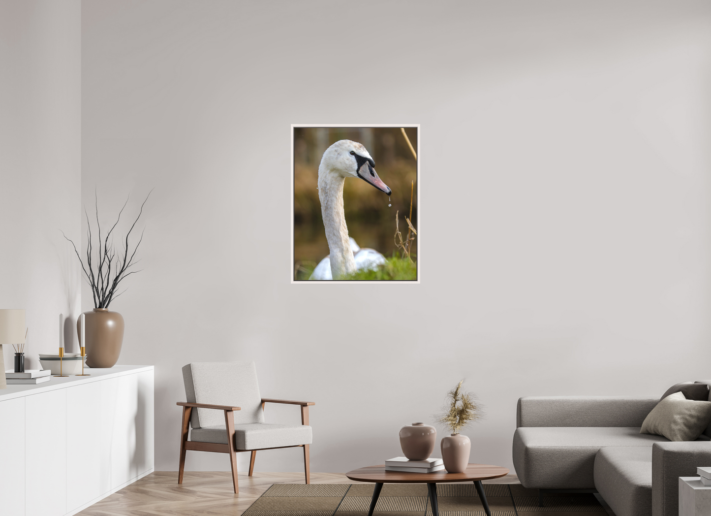 Grace in Motion: The Elegance of a Mute Swan