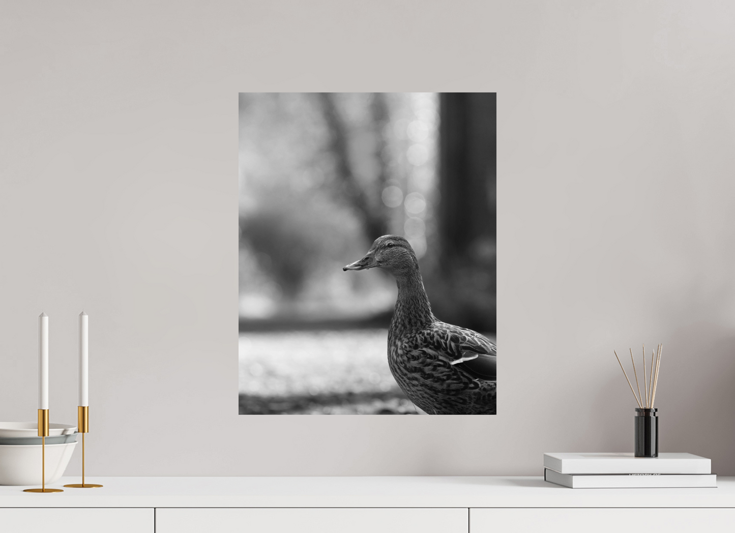 Golden Glow: A Mallard in the Light