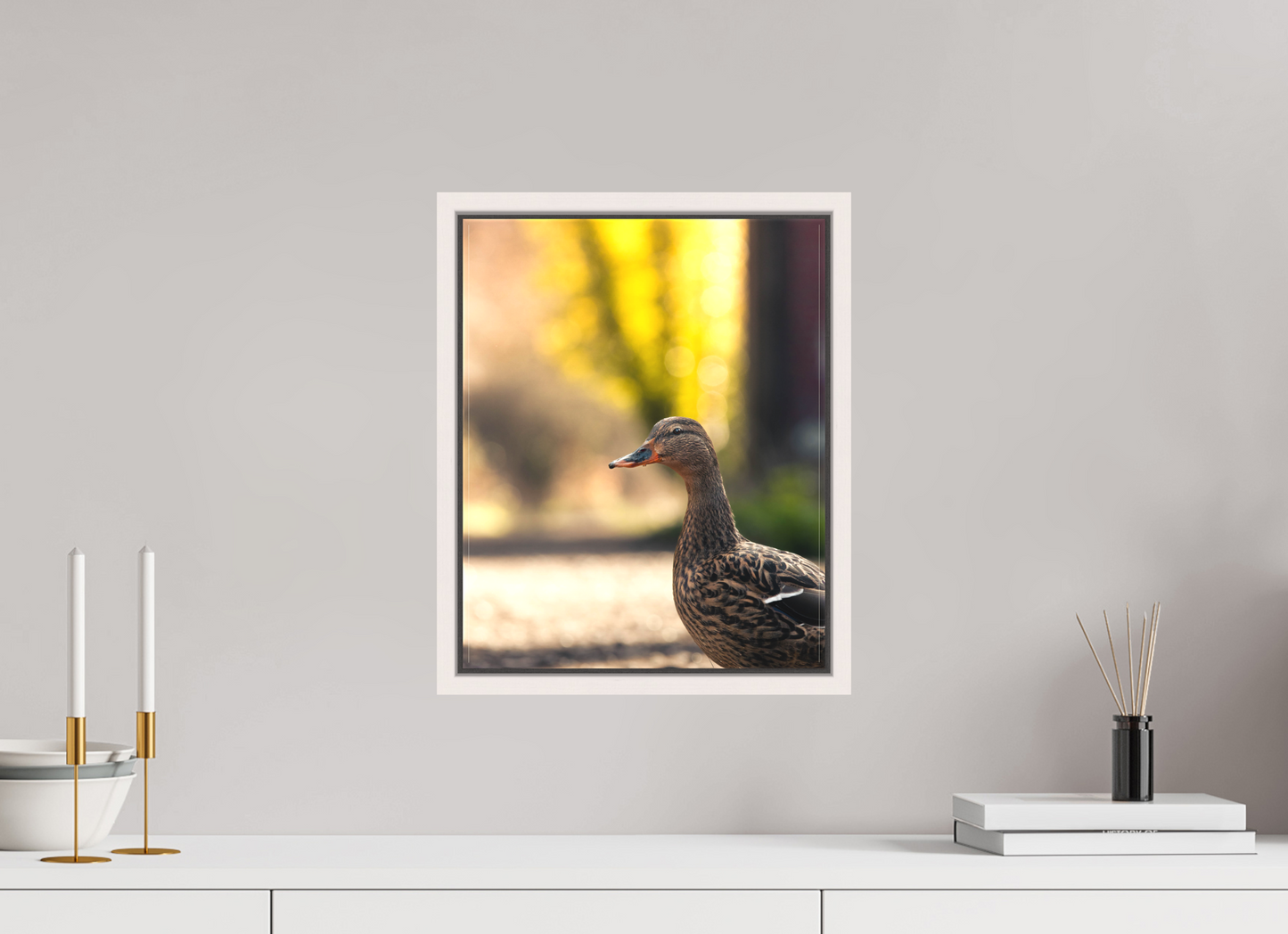 Golden Glow: A Mallard in the Light