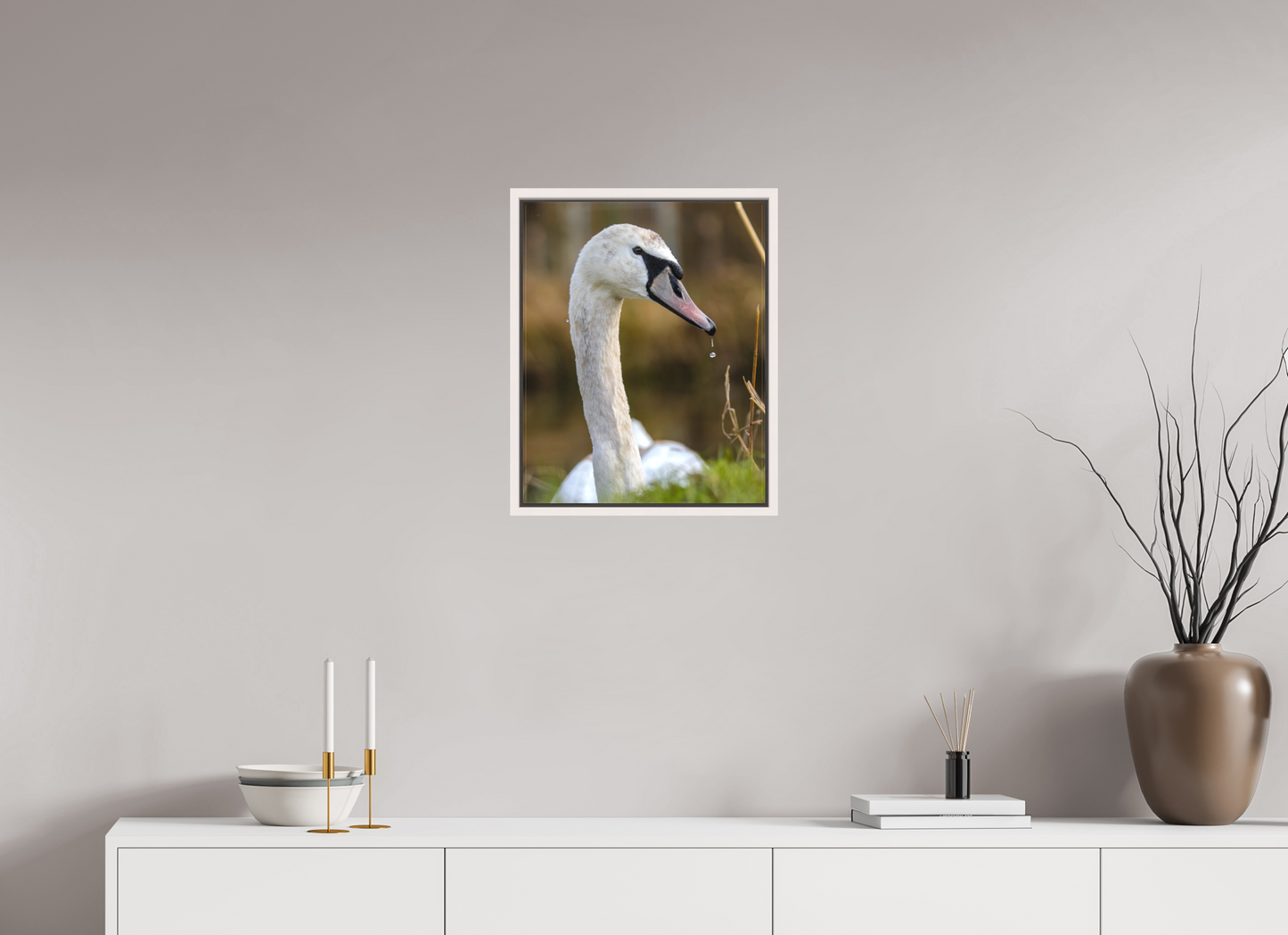 Grace in Motion: The Elegance of a Mute Swan