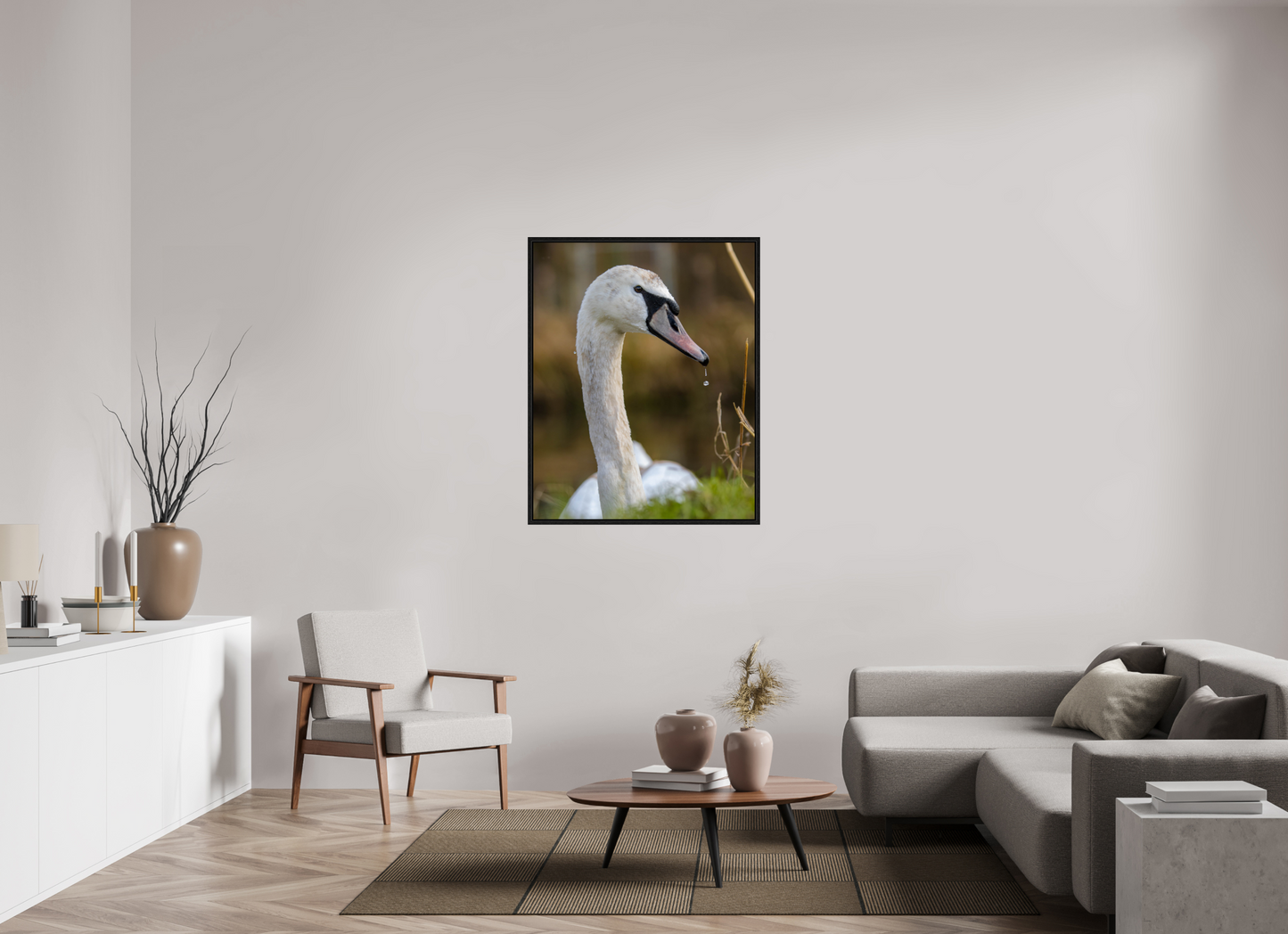 Grace in Motion: The Elegance of a Mute Swan