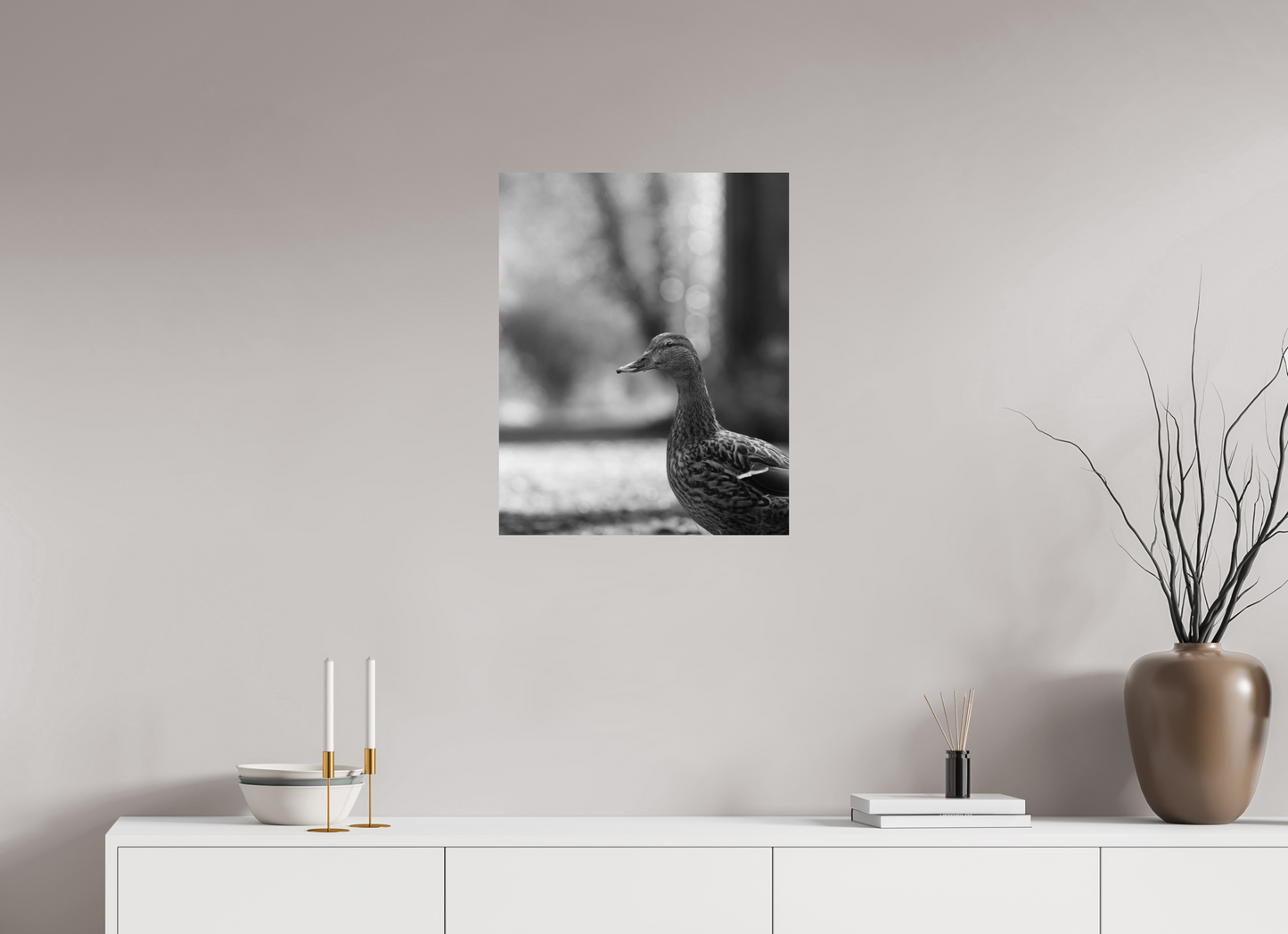 Golden Glow: A Mallard in the Light
