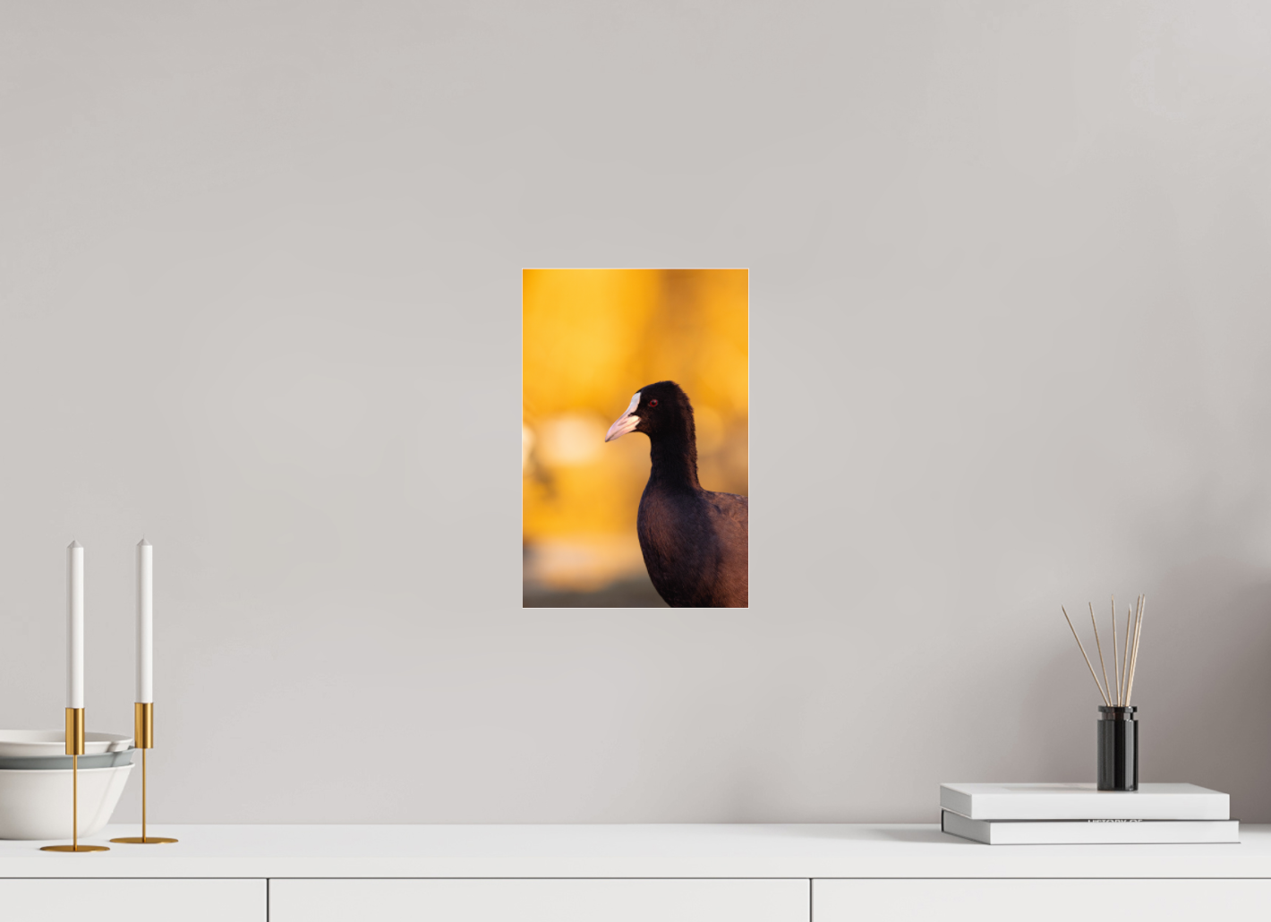 Golden Serenity: A Coot's Portrait