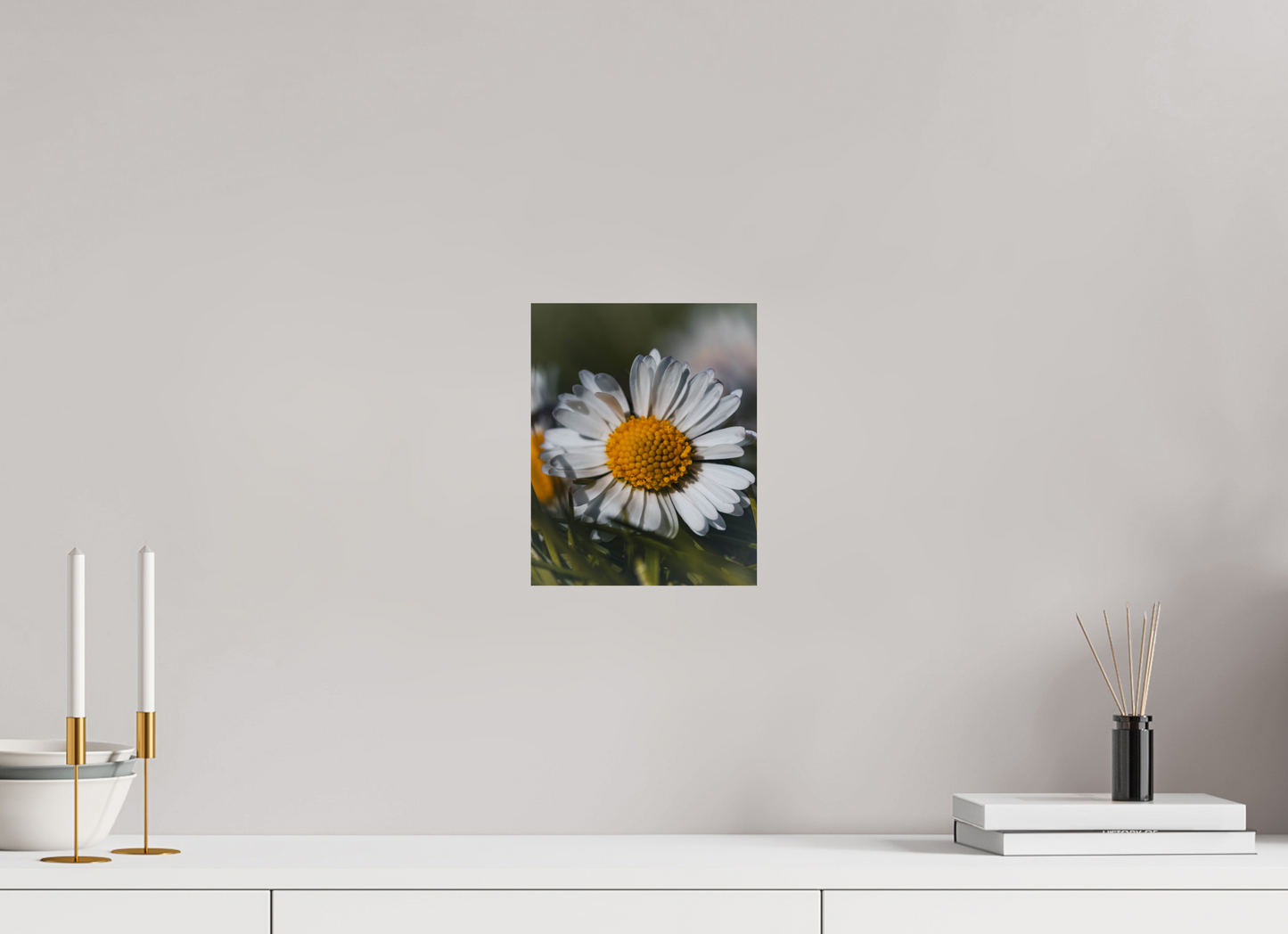 Sunlit Simplicity