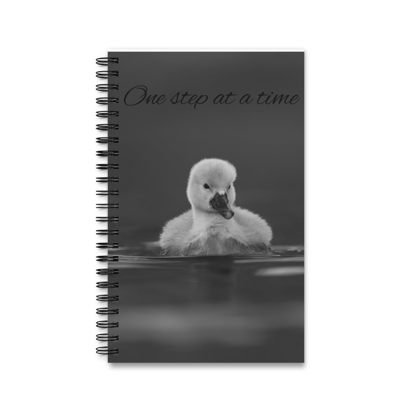 Spiral Journal (EU)