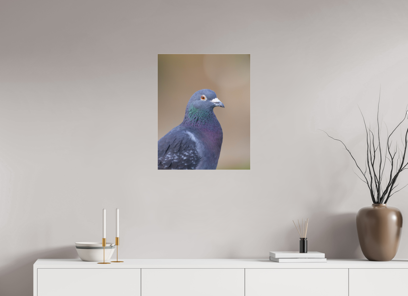 Urban Wild: Pigeon in Bushy Park
