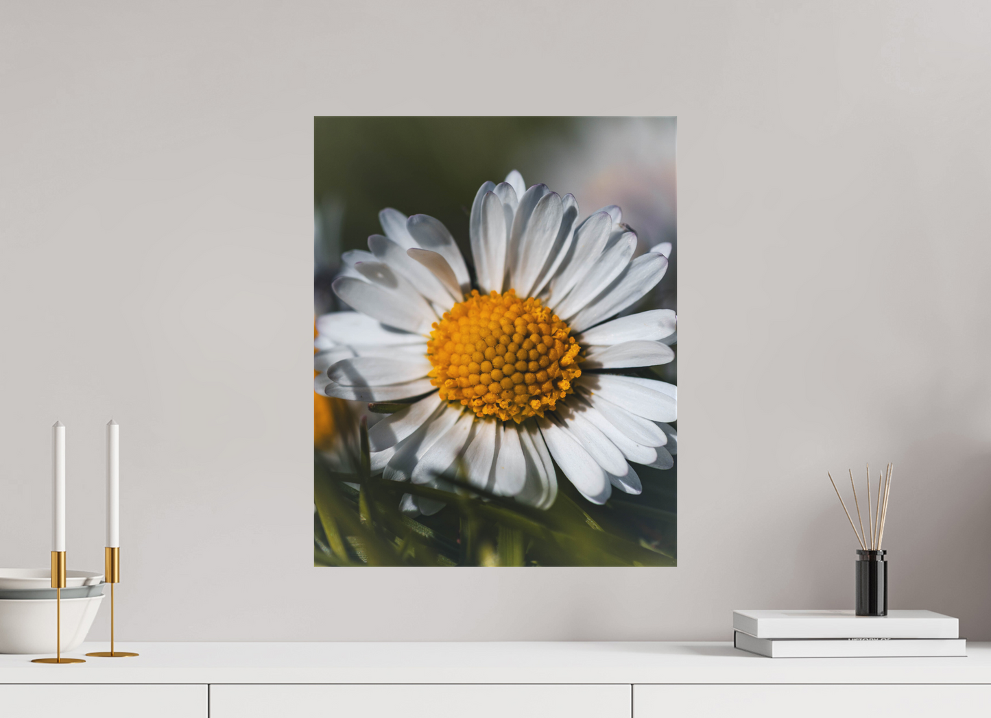Sunlit Simplicity