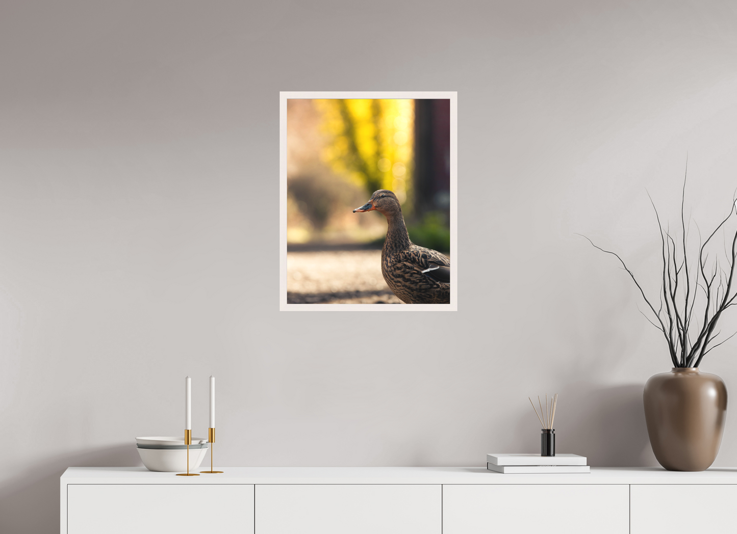 Golden Glow: A Mallard in the Light