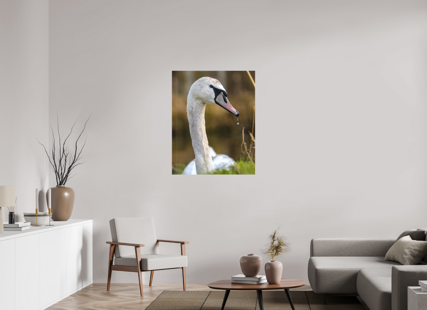 Grace in Motion: The Elegance of a Mute Swan