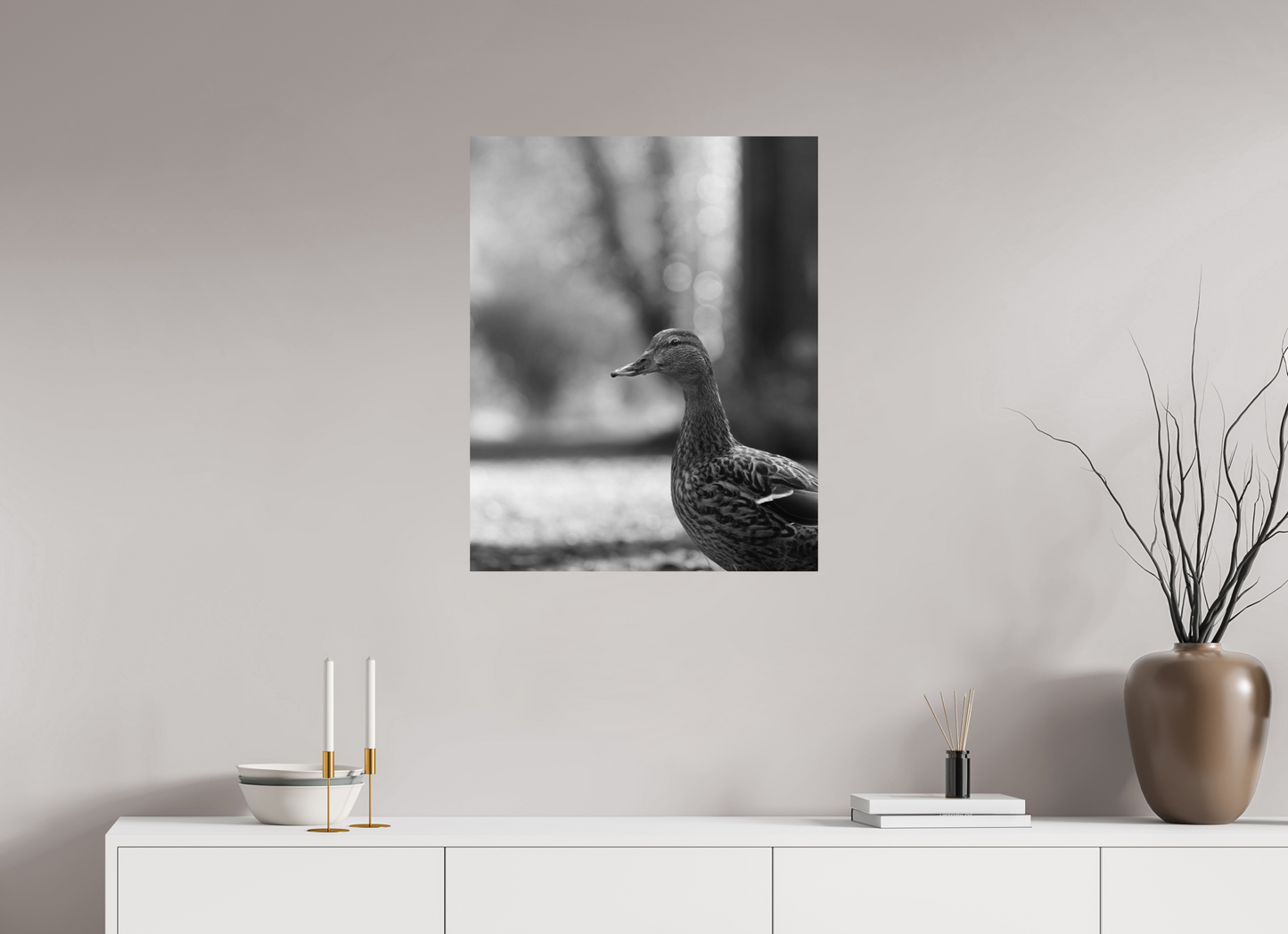 Golden Glow: A Mallard in the Light