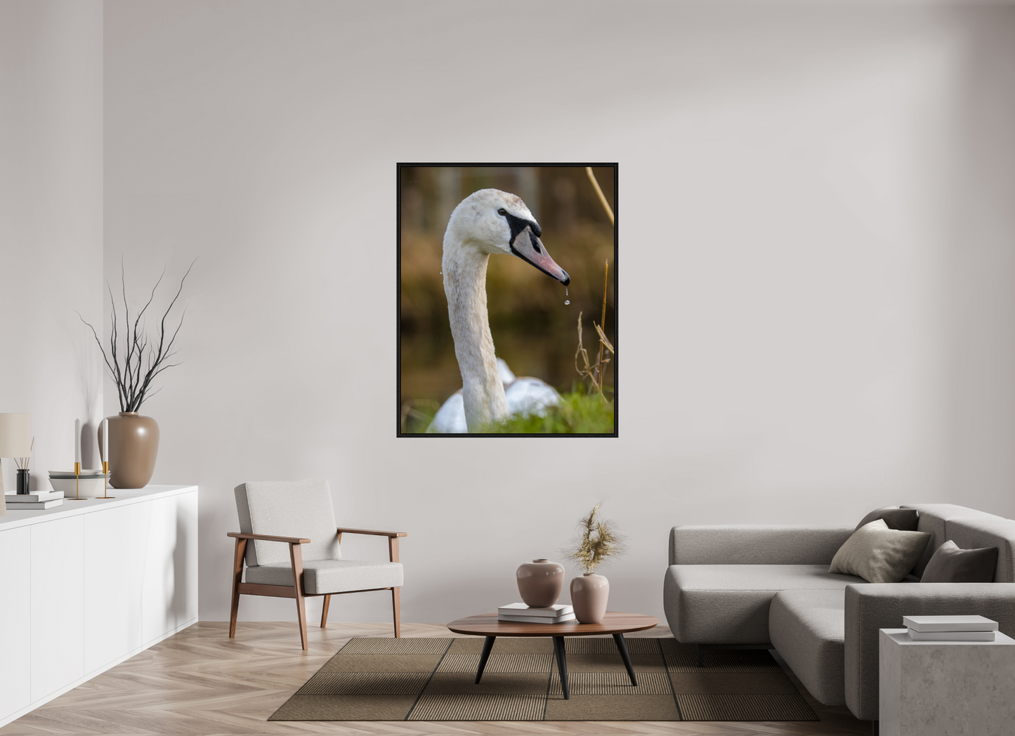 Grace in Motion: The Elegance of a Mute Swan