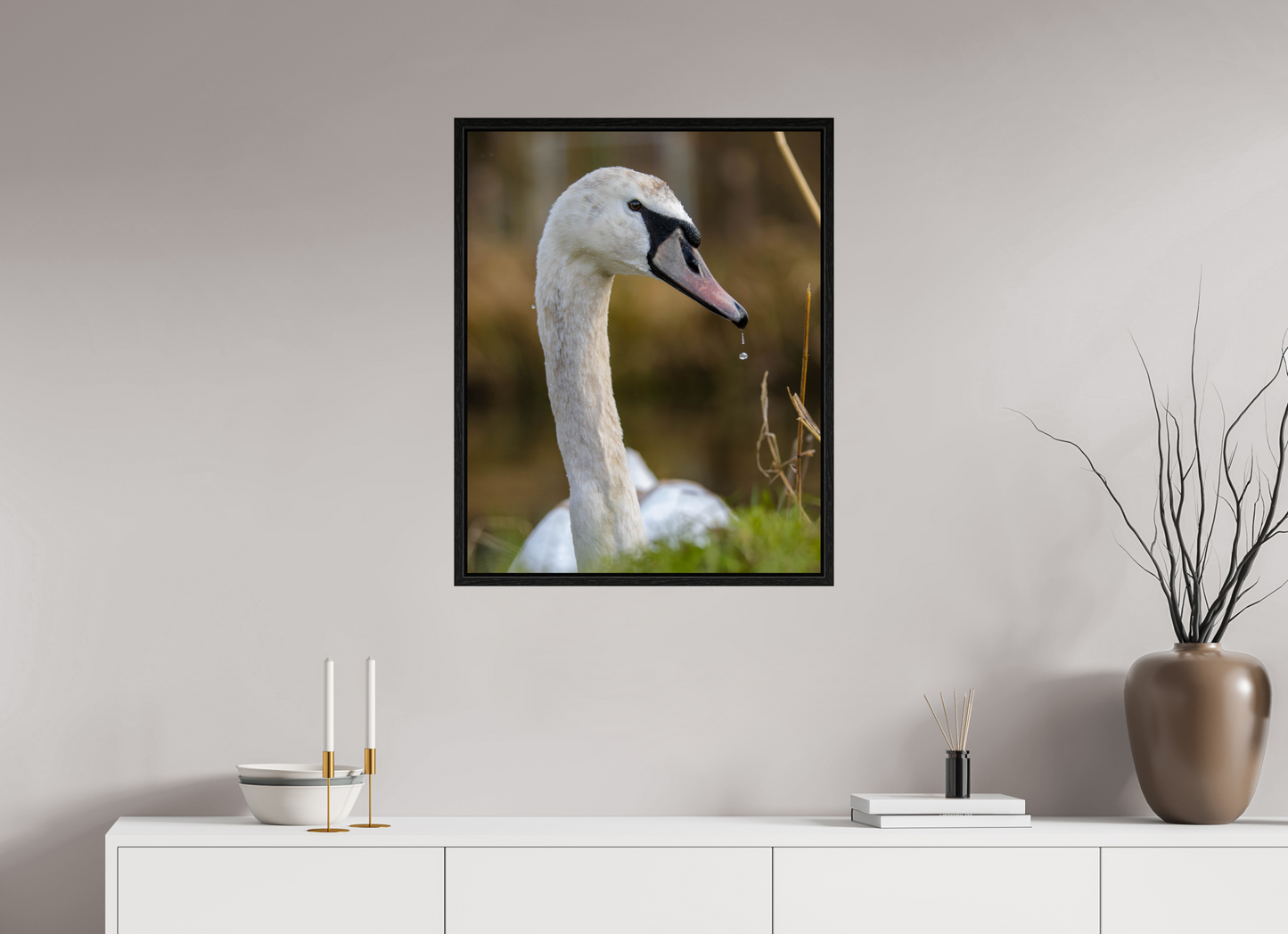 Grace in Motion: The Elegance of a Mute Swan